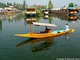 Shikare sul lago Dal8